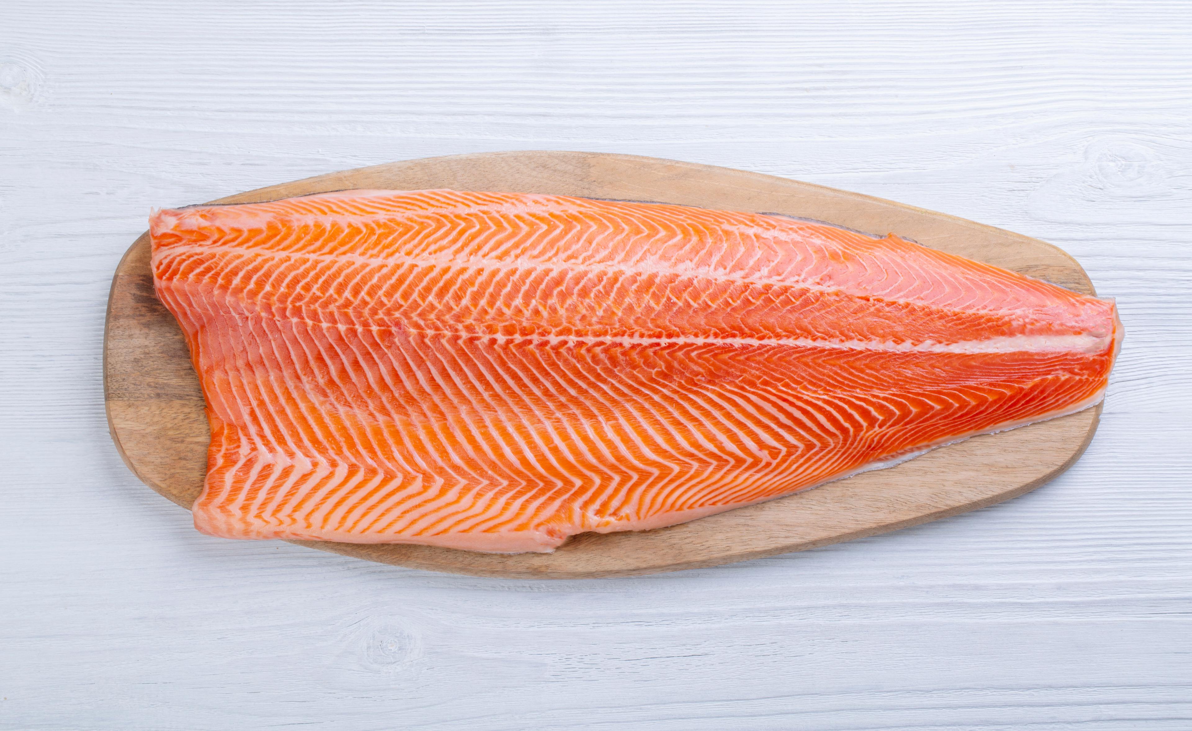 Salmon