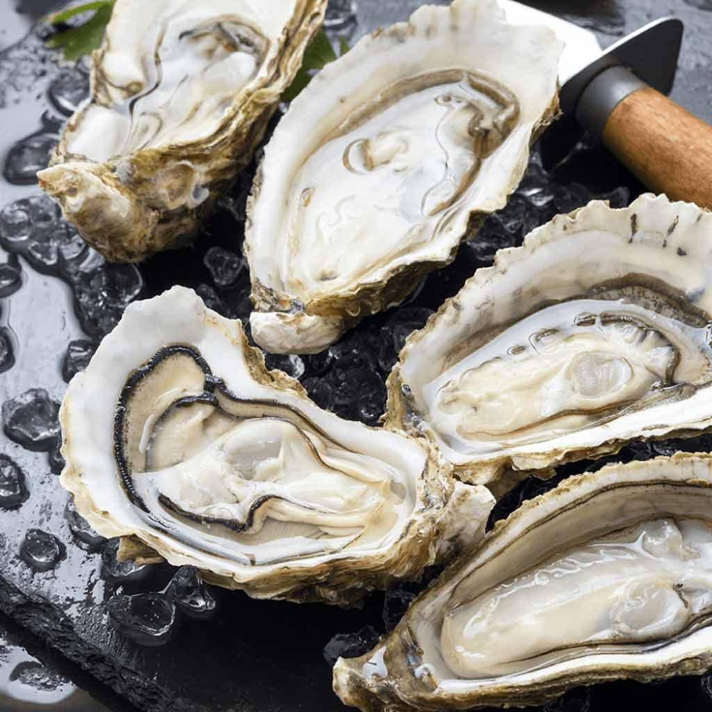 Oysters